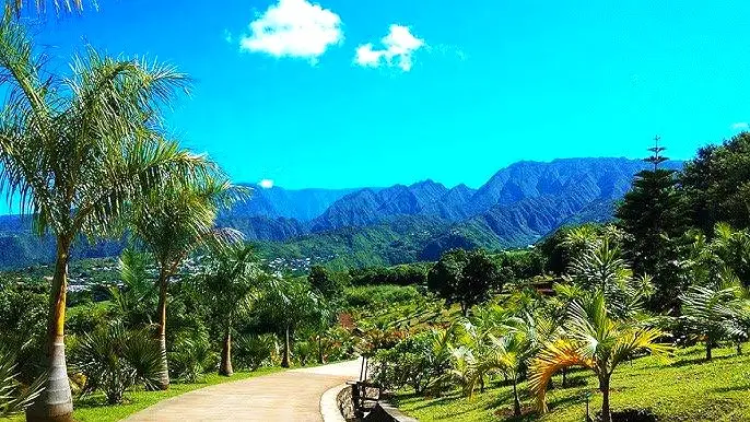 Parc des Palmiers du Tampon, jardin botanique incontournable à visiter